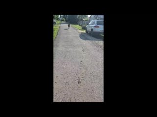 video by is overheard a great ustyug