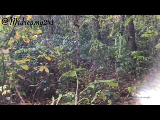 video by i i